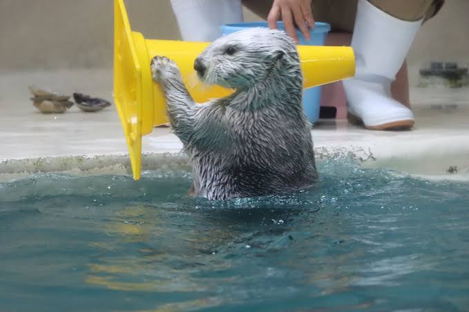 スギちゃん口調で喋ろうぜぇ～！【part72】