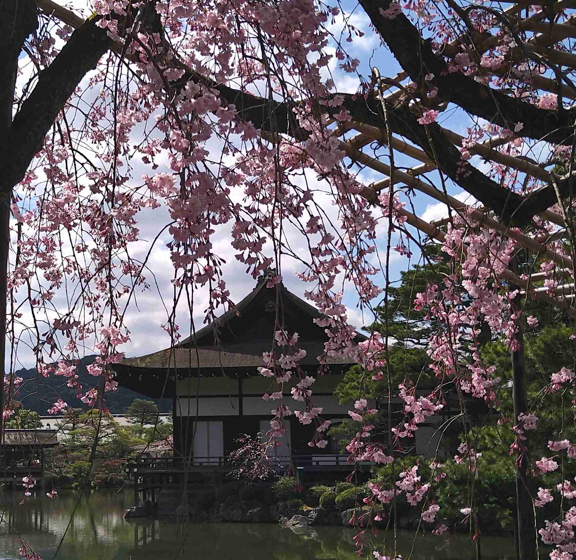 スギちゃん口調で喋ろうぜぇ～！【part72】