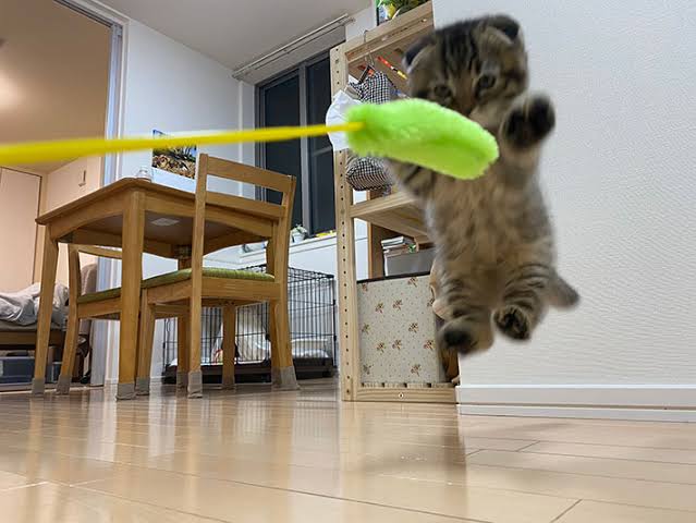 スギちゃん口調で喋ろうぜぇ～！【part72】