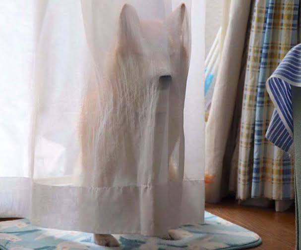 スギちゃん口調で喋ろうぜぇ～！【part72】