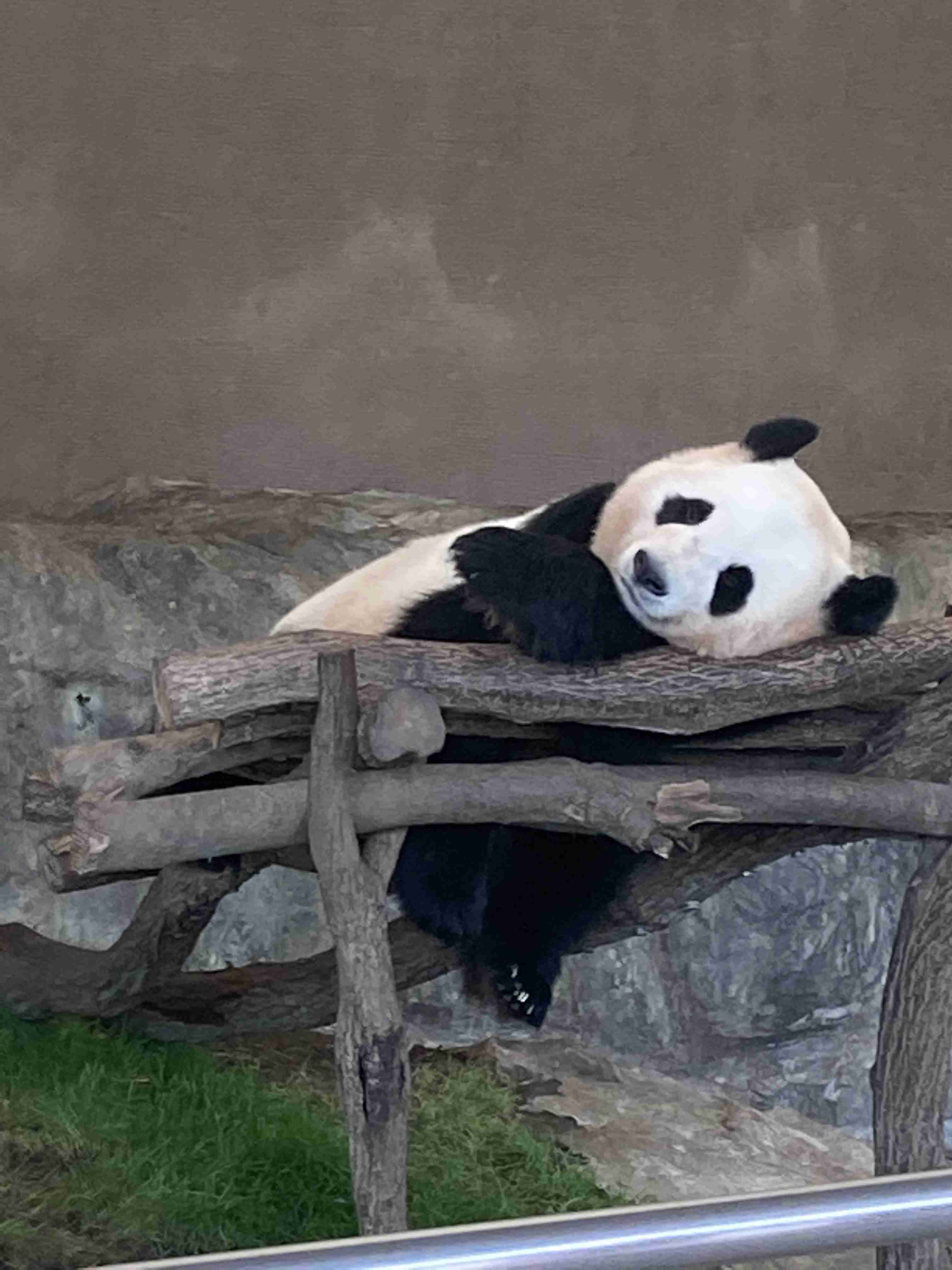 スギちゃん口調で喋ろうぜぇ～！【part72】