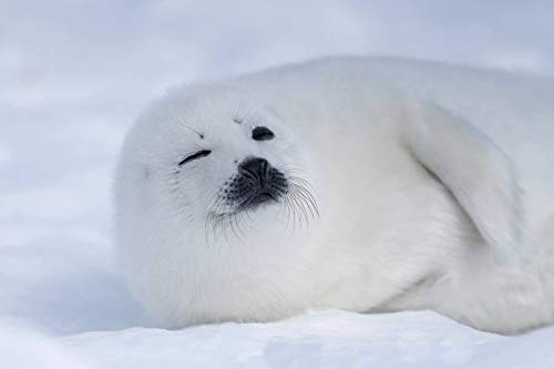 スギちゃん口調で喋ろうぜぇ～！【part72】