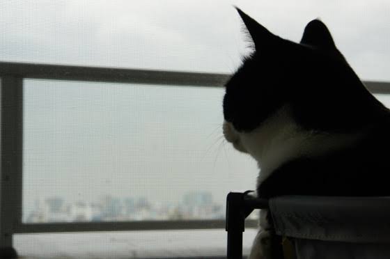 スギちゃん口調で喋ろうぜぇ～！【part72】