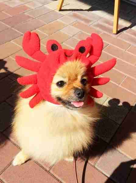 スギちゃん口調で喋ろうぜぇ～！【part72】