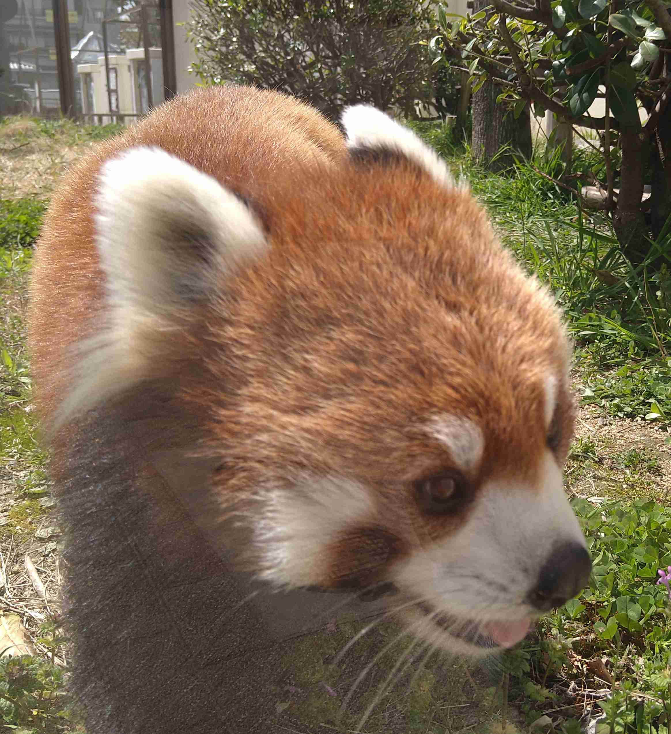 スギちゃん口調で喋ろうぜぇ～！【part72】