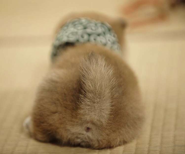 スギちゃん口調で喋ろうぜぇ～！【part72】