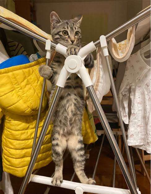 スギちゃん口調で喋ろうぜぇ～！【part72】