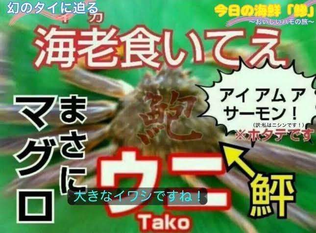 情報量が多い画像を貼るトピ