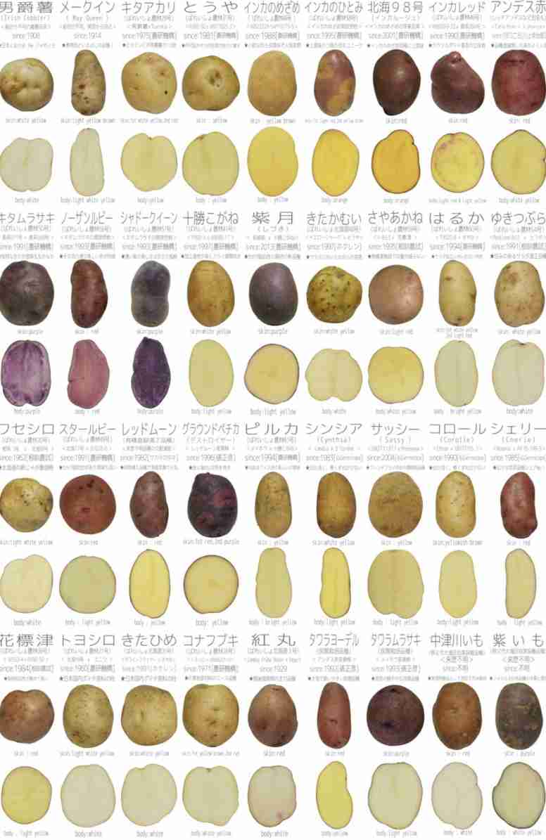 情報量が多い画像を貼るトピ