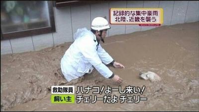 情報量が多い画像を貼るトピ