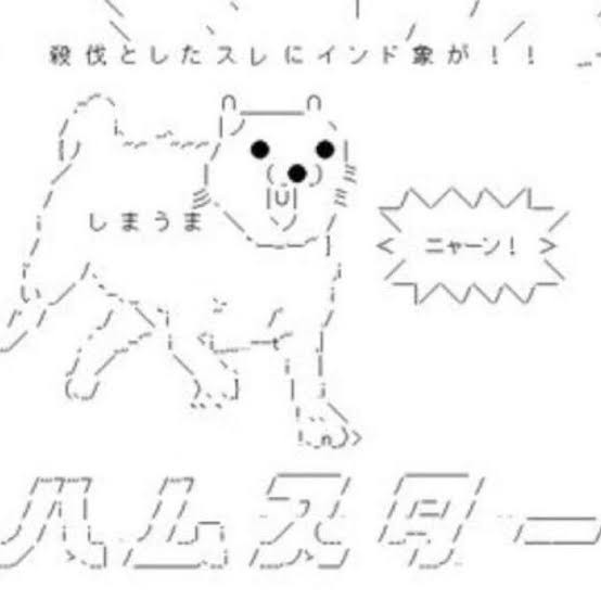 情報量が多い画像を貼るトピ