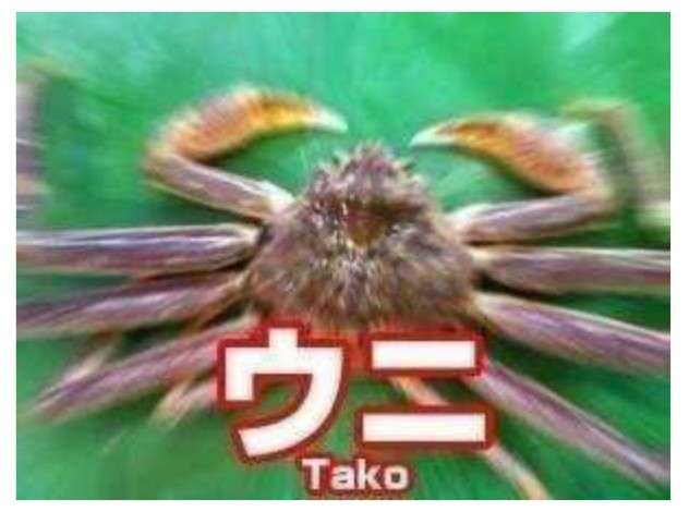 情報量が多い画像を貼るトピ