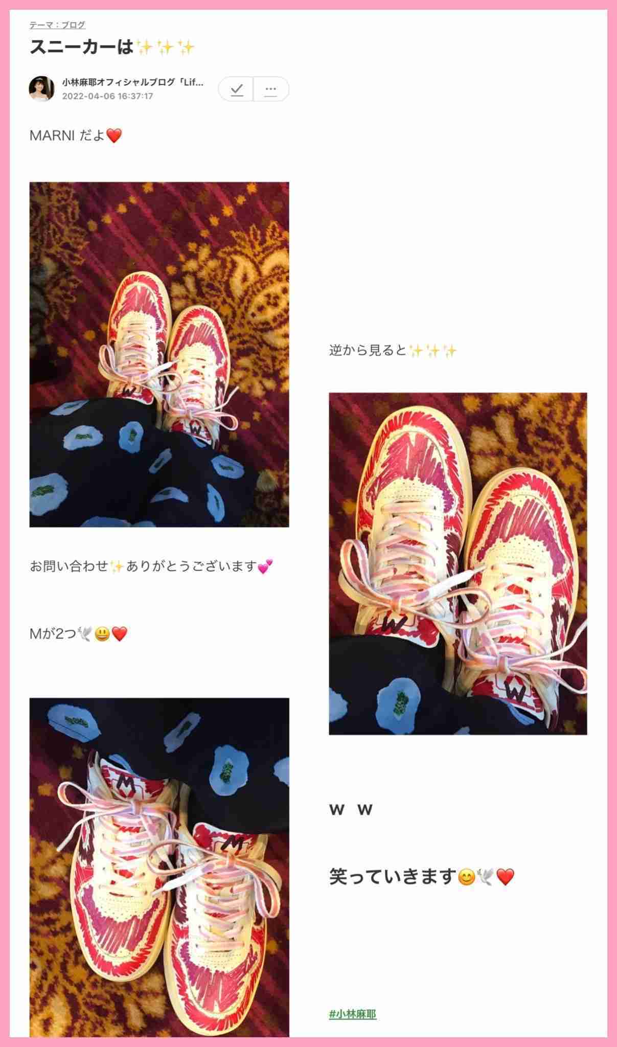 小林麻耶 次なる怒りの矛先はアメブロ「応援コメント消してた」「裏切りです」