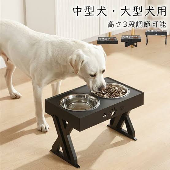 【ペットの種類不問】買ってよかったと思うペット関連用品