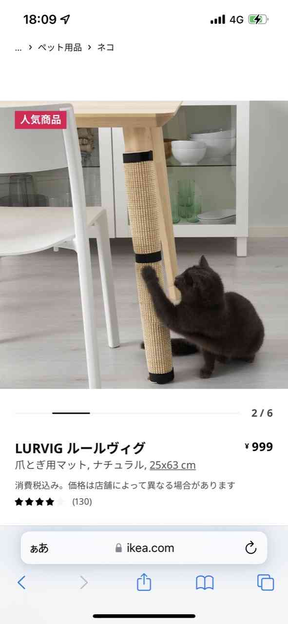 【ペットの種類不問】買ってよかったと思うペット関連用品