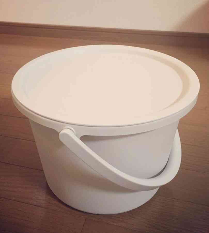 【ペットの種類不問】買ってよかったと思うペット関連用品