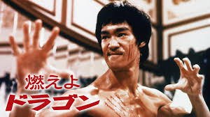 【ペットの種類不問】買ってよかったと思うペット関連用品