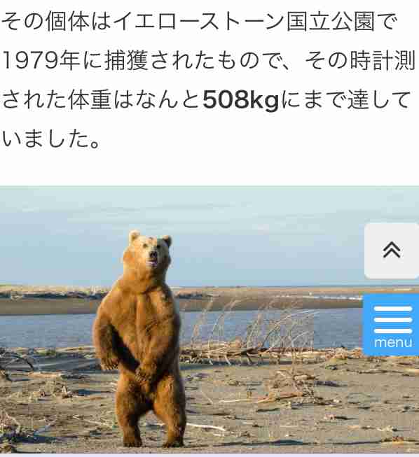 アメリカ人の6％は「素手でクマに勝てる」と思っている事が判明