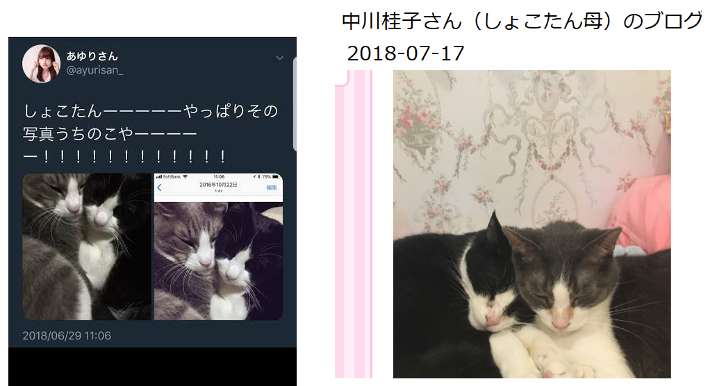 SNSブロックされたことある人
