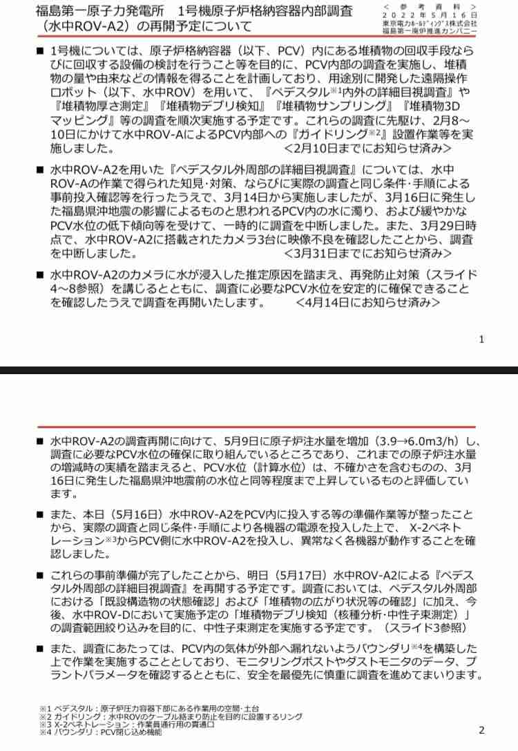 子どもに急増する原因不明の急性肝炎、飼い犬と関連？