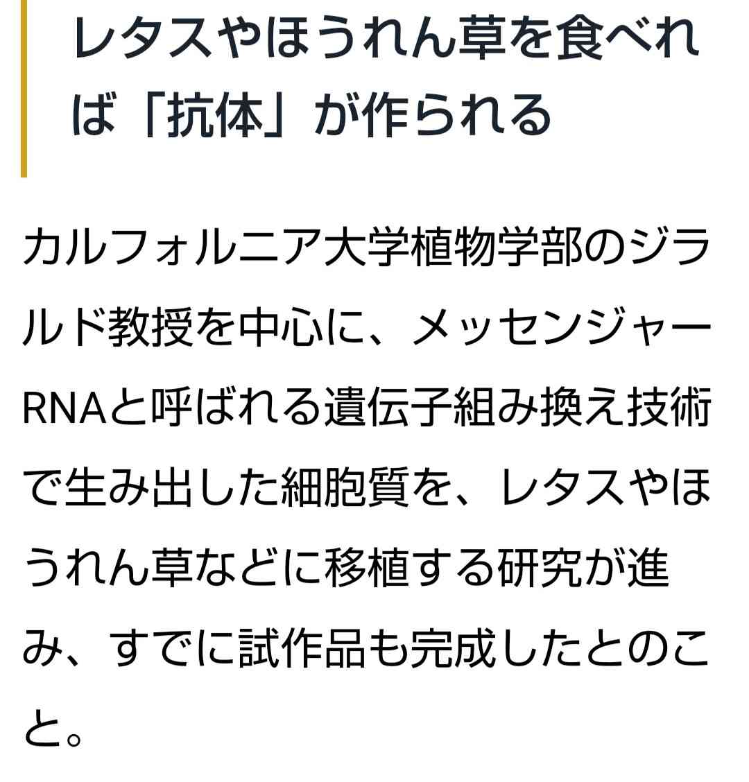 子どもに急増する原因不明の急性肝炎、飼い犬と関連？