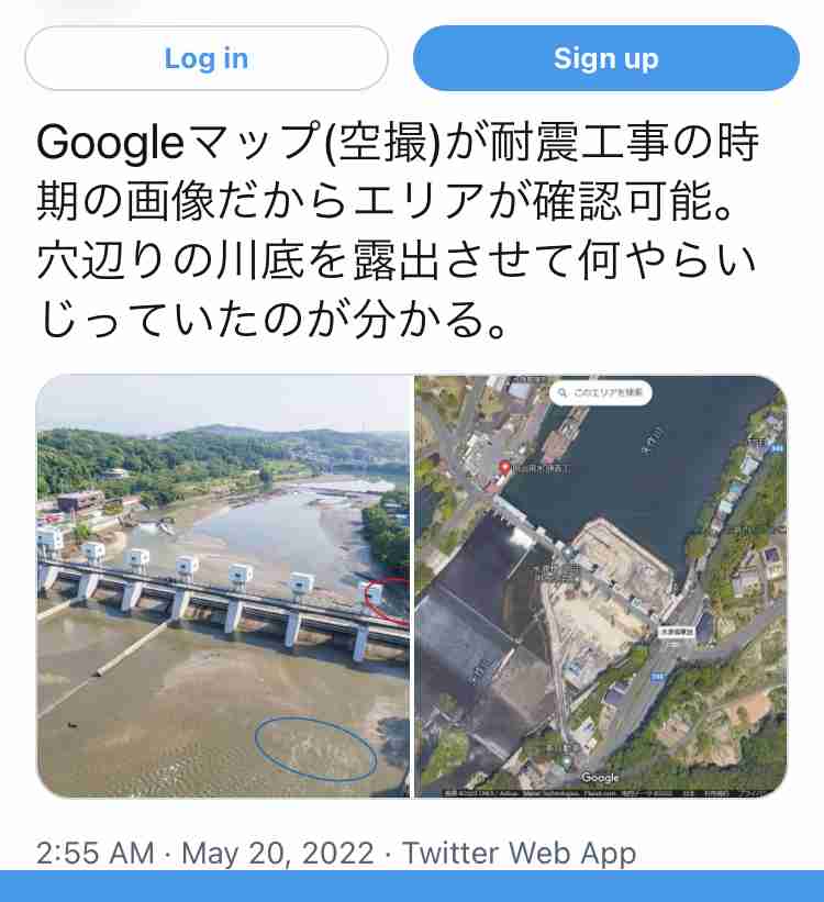 子どもに急増する原因不明の急性肝炎、飼い犬と関連？