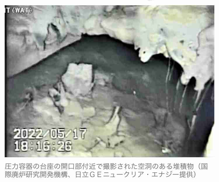 子どもに急増する原因不明の急性肝炎、飼い犬と関連？
