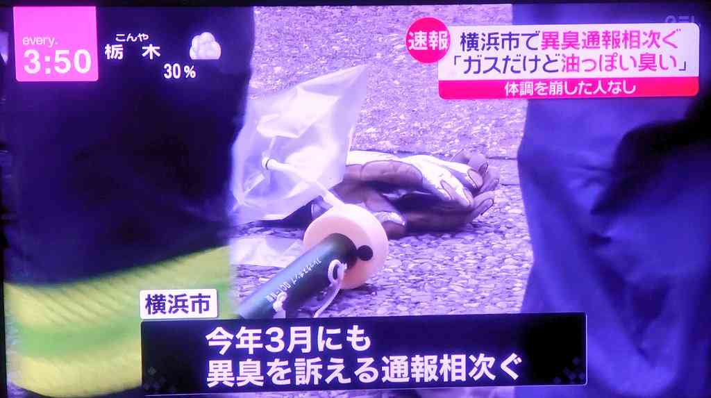 子どもに急増する原因不明の急性肝炎、飼い犬と関連？