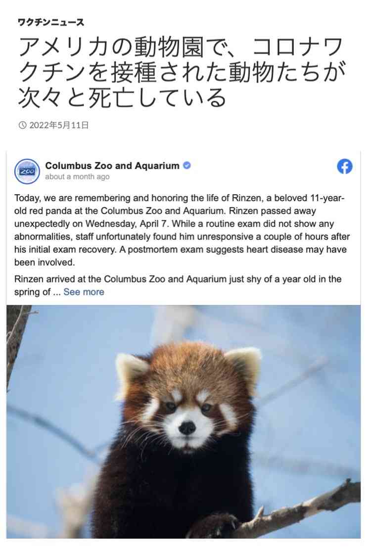 子どもに急増する原因不明の急性肝炎、飼い犬と関連？