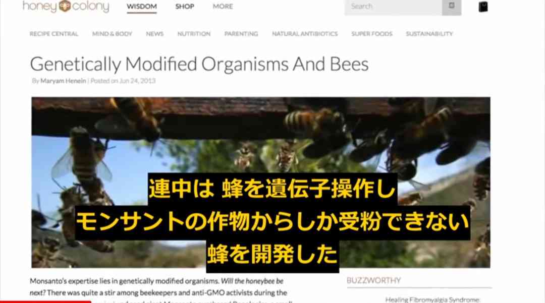 子どもに急増する原因不明の急性肝炎、飼い犬と関連？