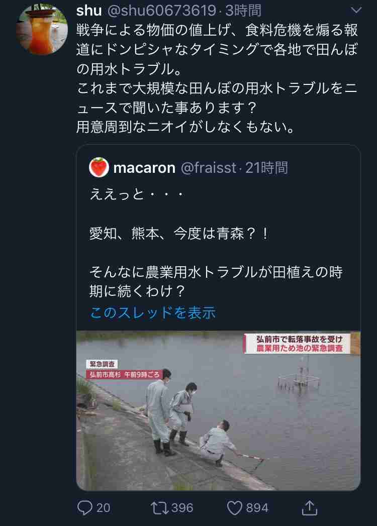 子どもに急増する原因不明の急性肝炎、飼い犬と関連？