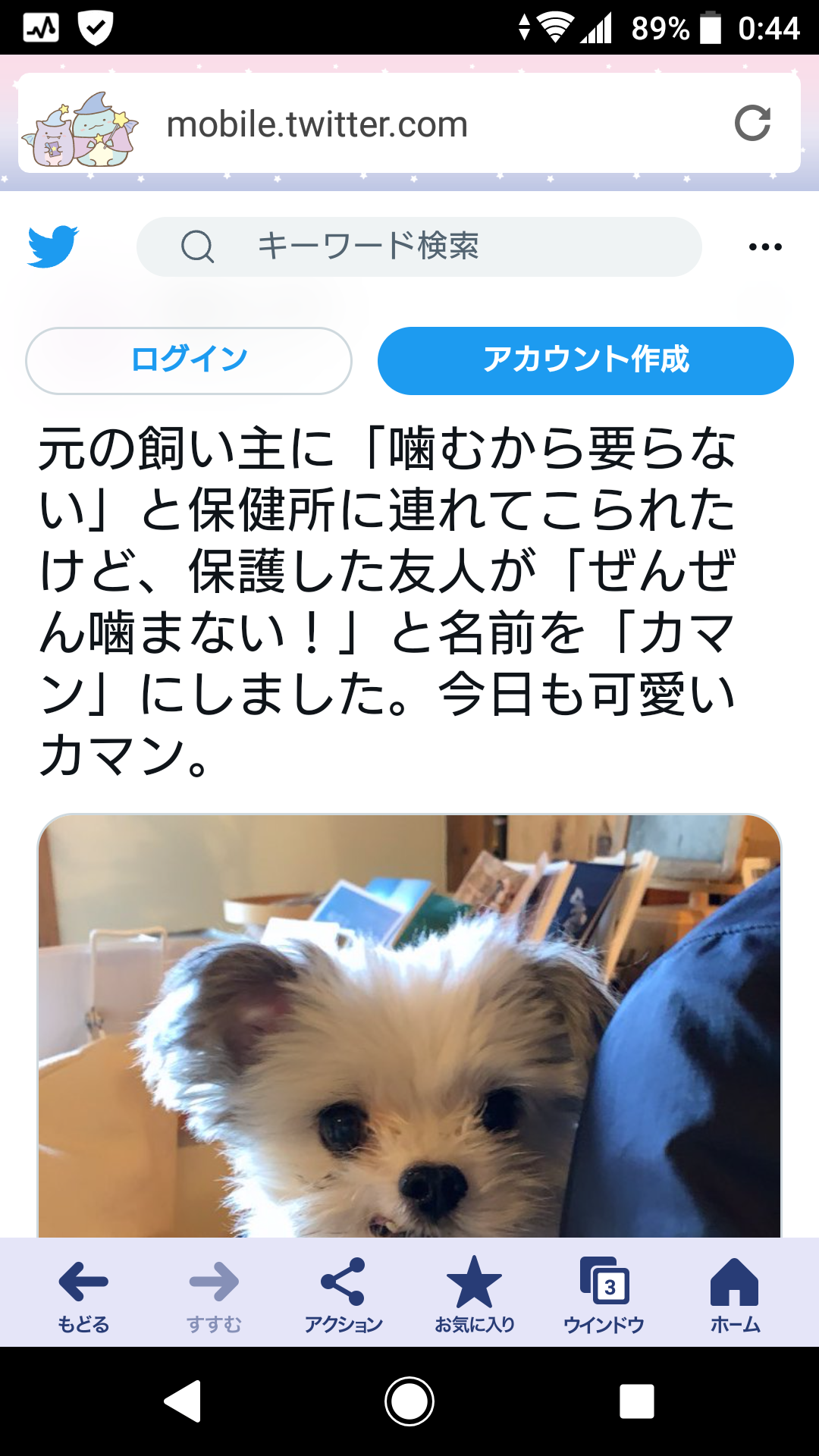 人を噛んで“殺処分”寸前のドーベルマンを保護 「問題は犬種ではなく飼い主の育て方」更生に挑んだトレーナー男性が訴え