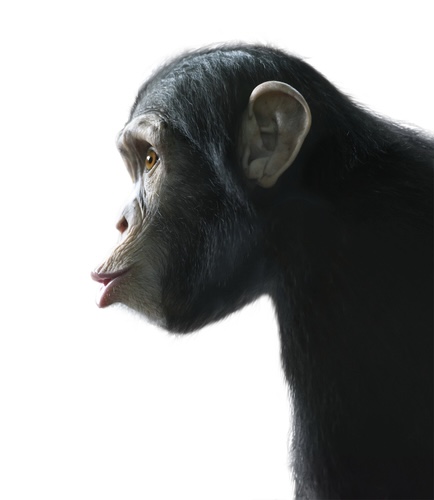 質問したらすごい早さで答えが返ってくるトピ