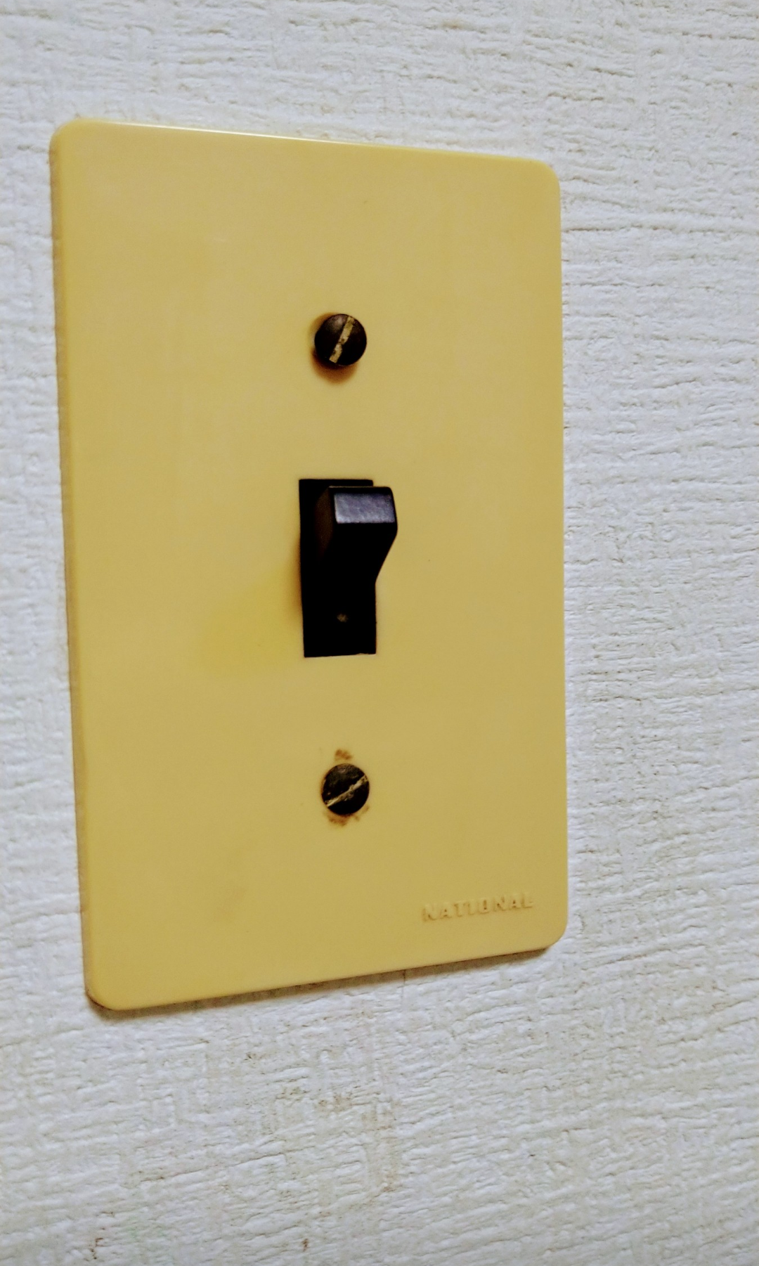 昭和っぽく写真を撮るトピ