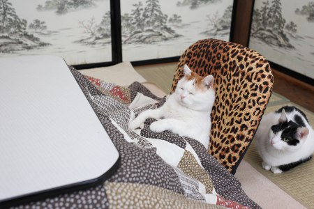 昭和っぽく写真を撮るトピ