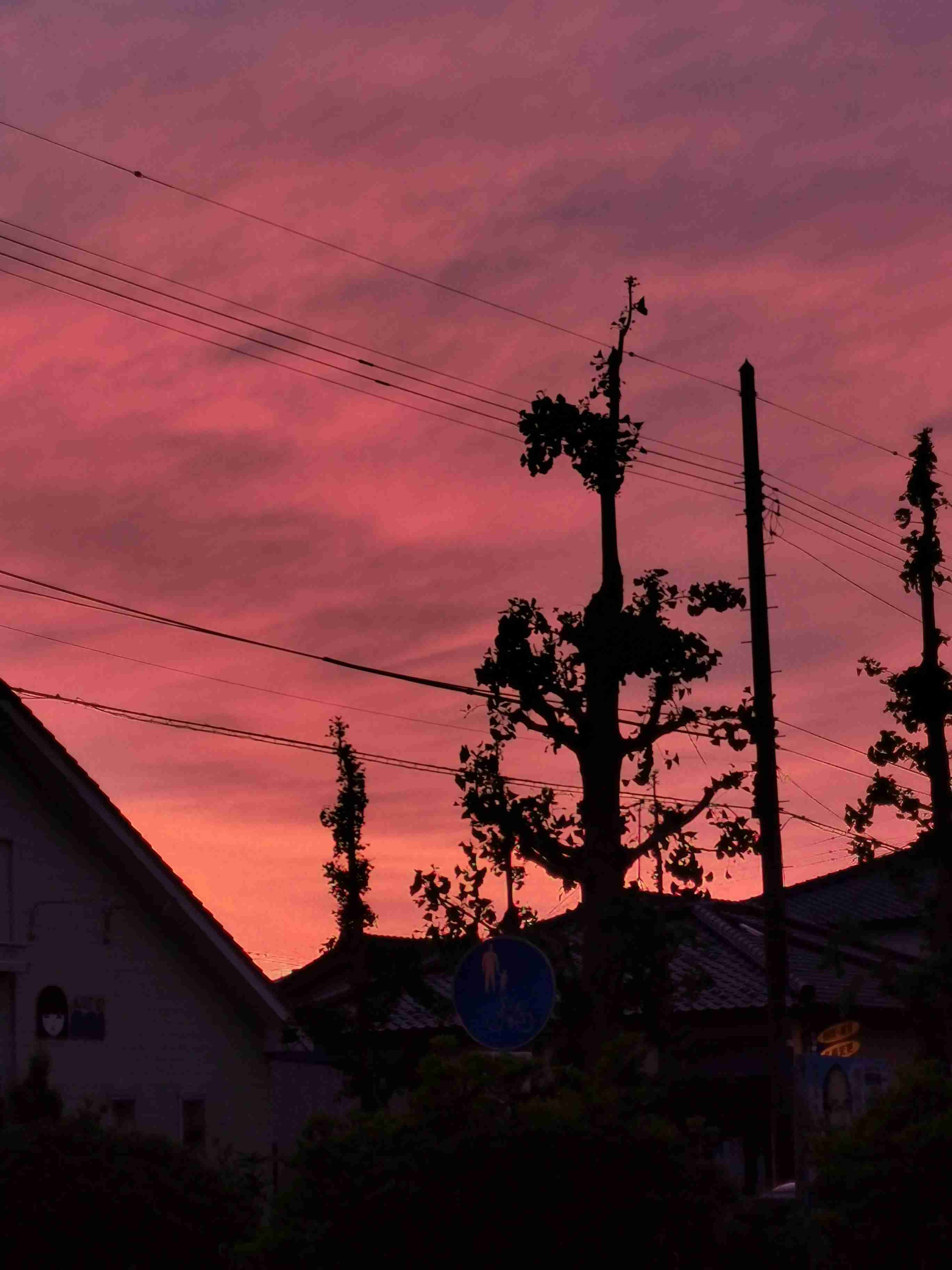 ○○が怖いのって私だけ？と思う事