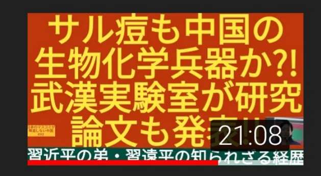 サル痘拡大 「極めて異常」WHOがヒト間の感染警告