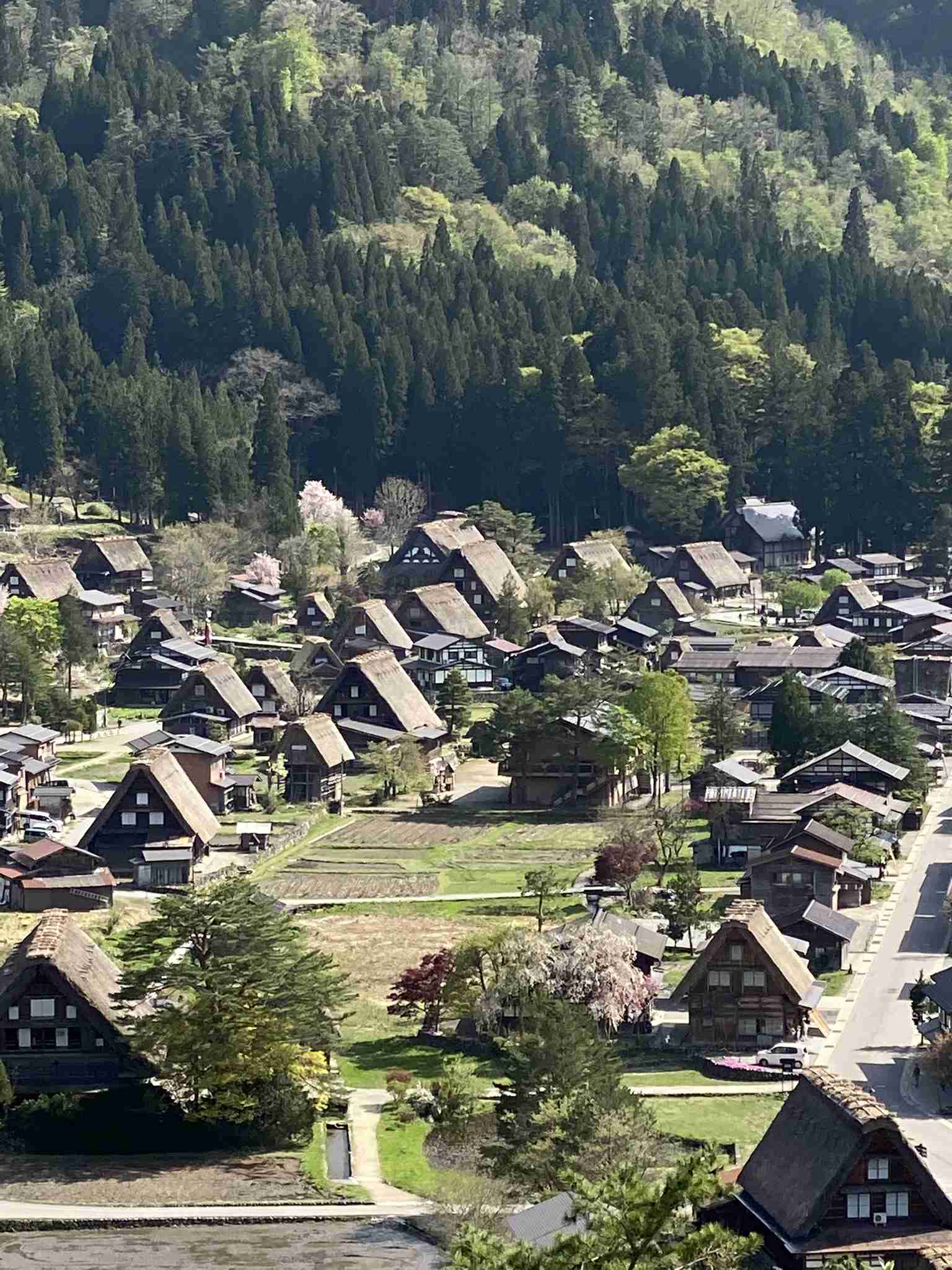 タイムスリップしたかのような風景