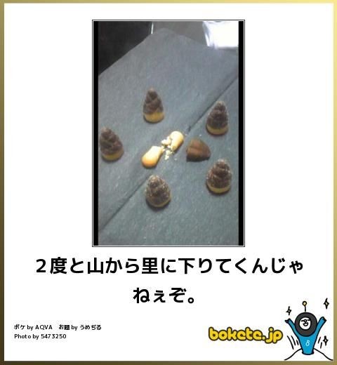 卵を奪われたか? 怒りに満ちた鳥たちが1匹のヘビを襲う(南ア)