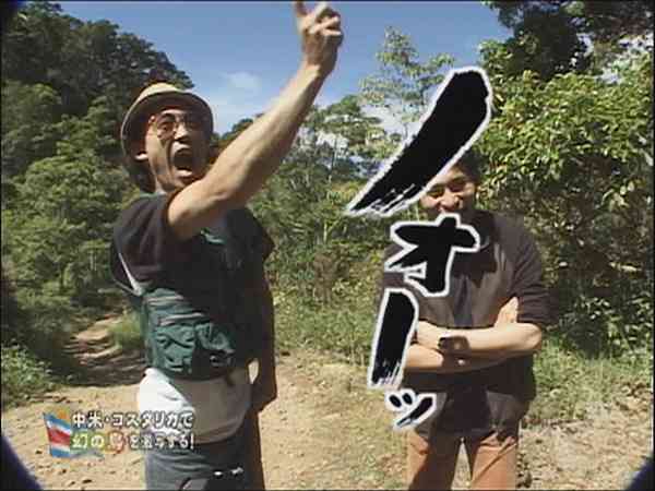 水曜どうでしょうで面白かった企画