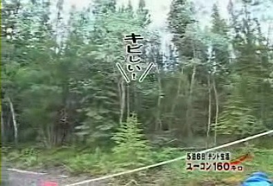 水曜どうでしょうで面白かった企画