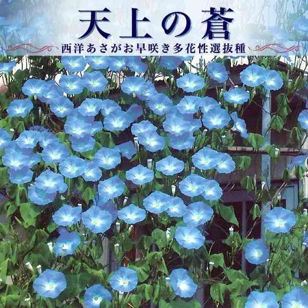 名作のお勧め(小説)
