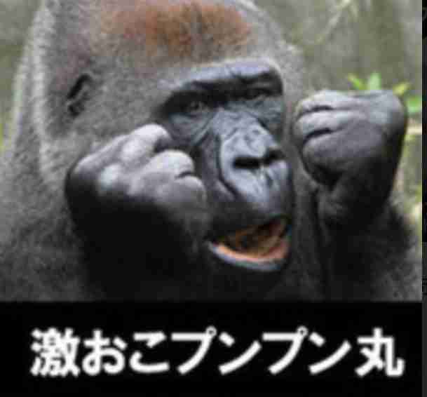 「悪魔の通知が来た」自動車税に悲痛の叫び　「国民に対する経済制裁」と怒りの声も