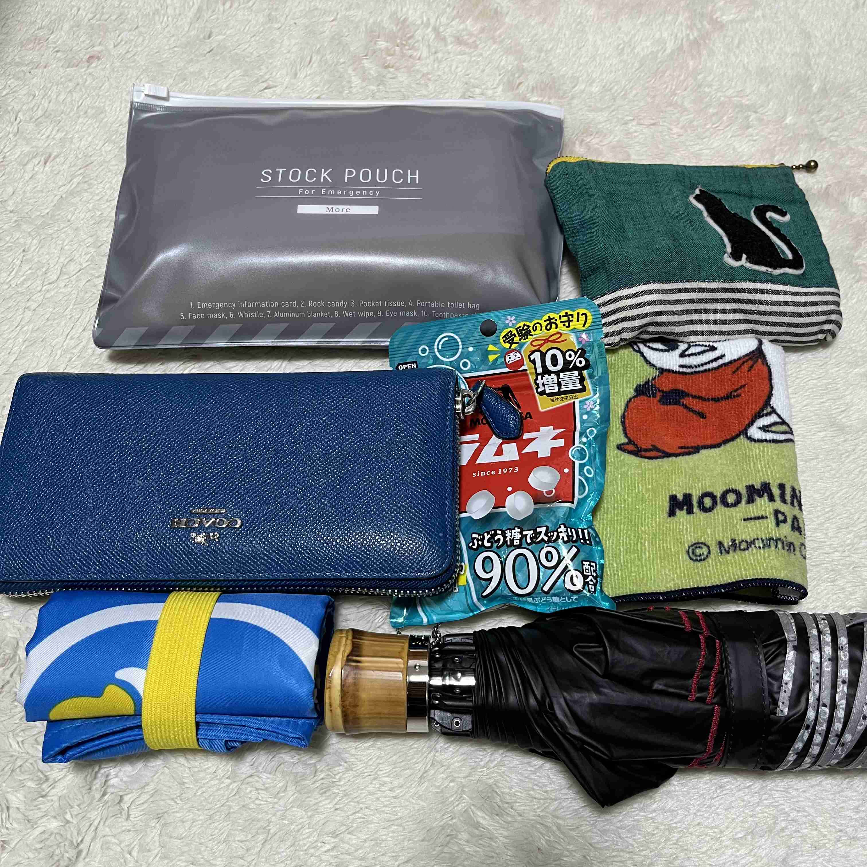 バッグの中身を見せてください【2022初夏】