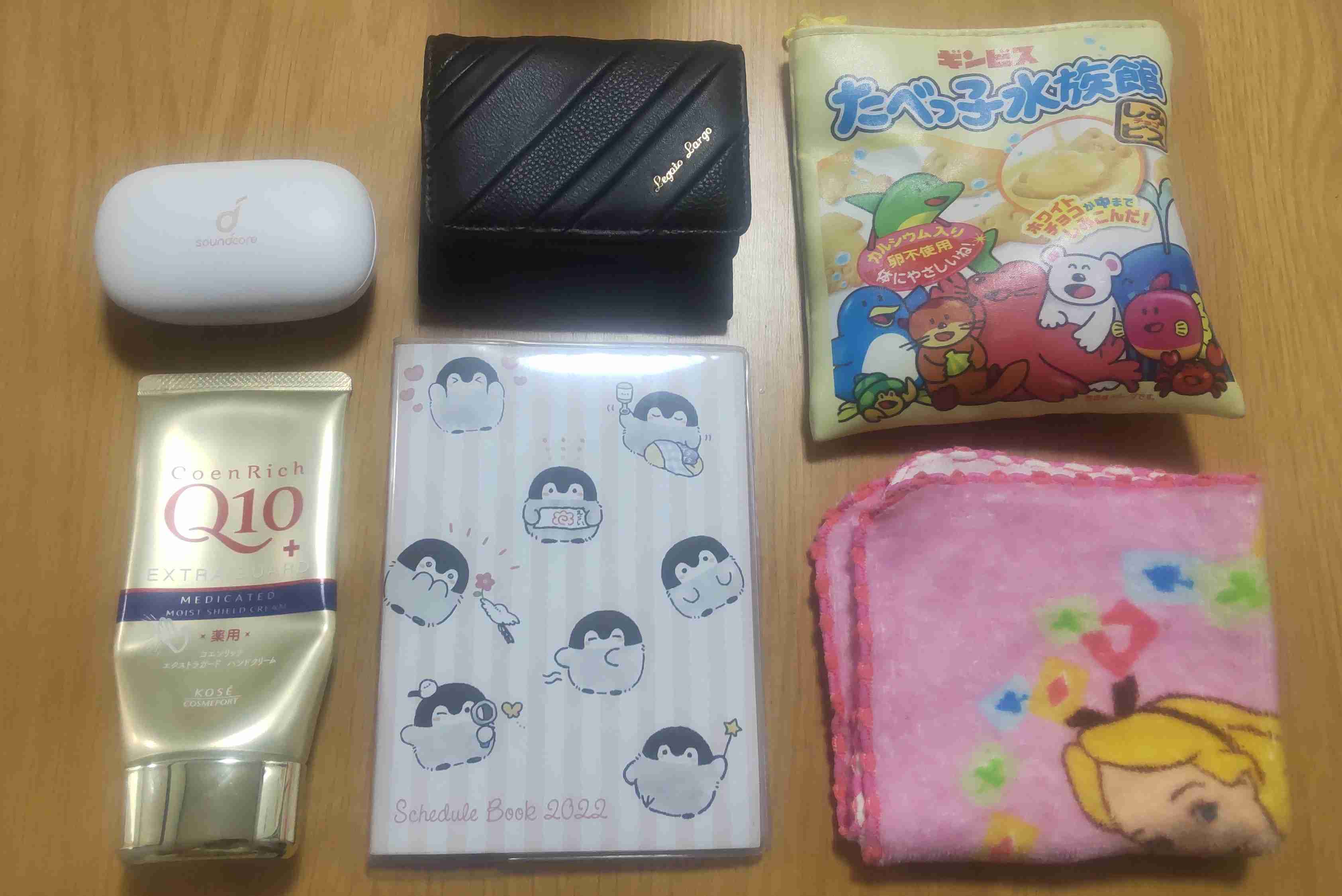 バッグの中身を見せてください【2022初夏】