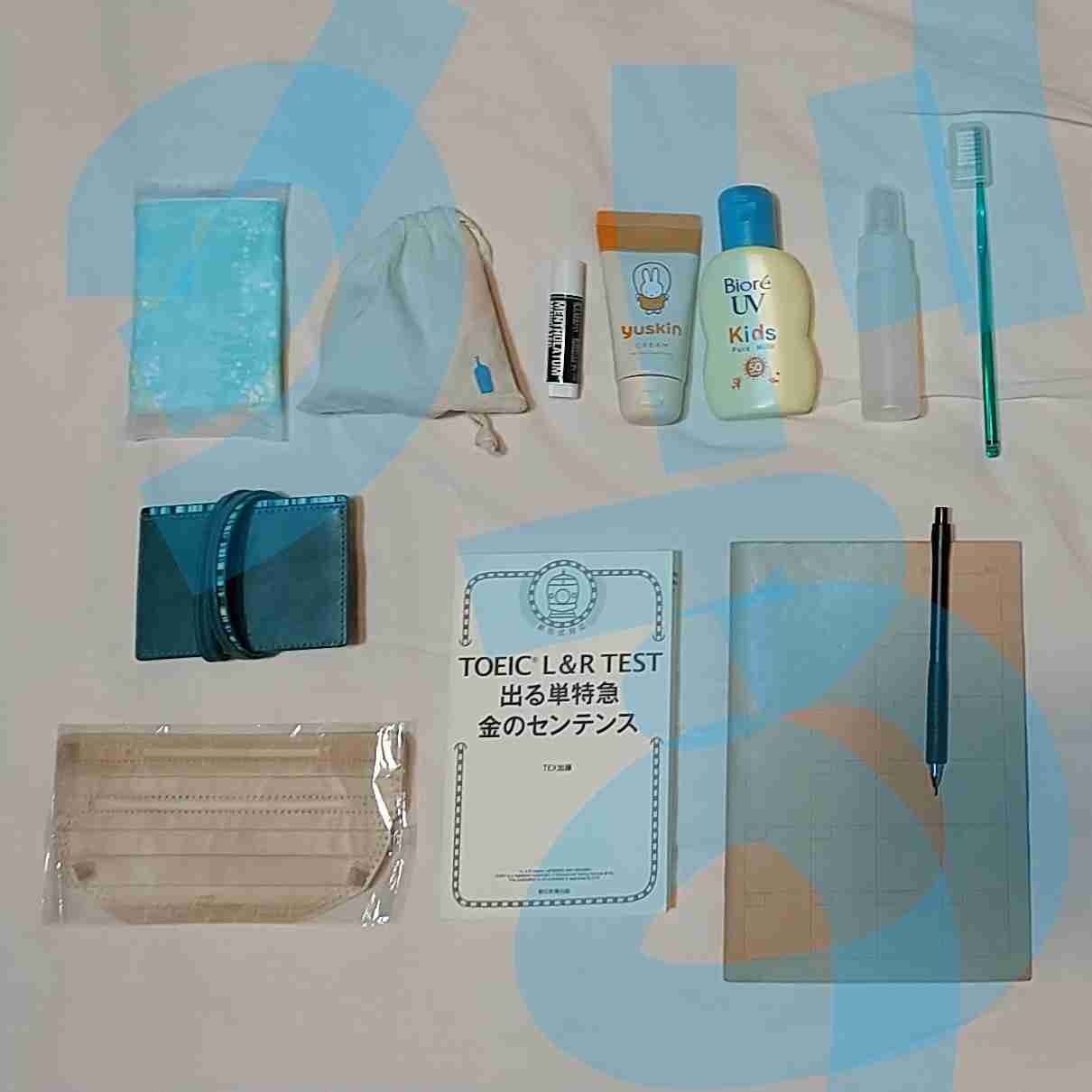 バッグの中身を見せてください【2022初夏】