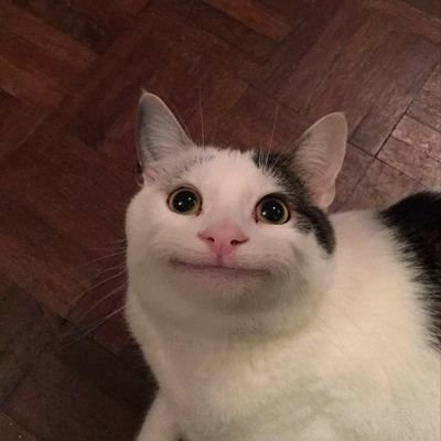 【ジャンル不問】夢に出てきてほしい物の画像を貼って寝るトピ