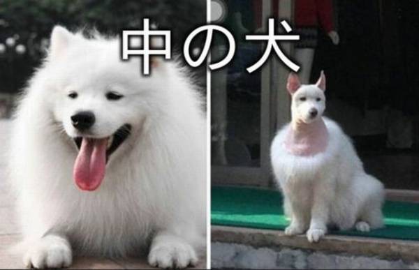 寝る前にクスッとする画像part2