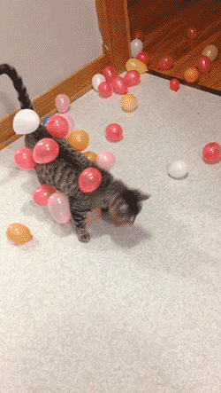 寝る前にクスッとする画像part2