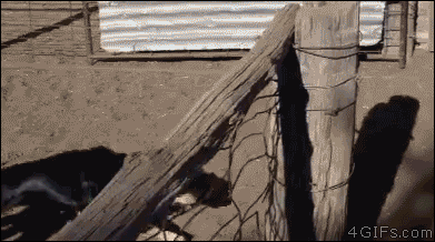 寝る前にクスッとする画像part2